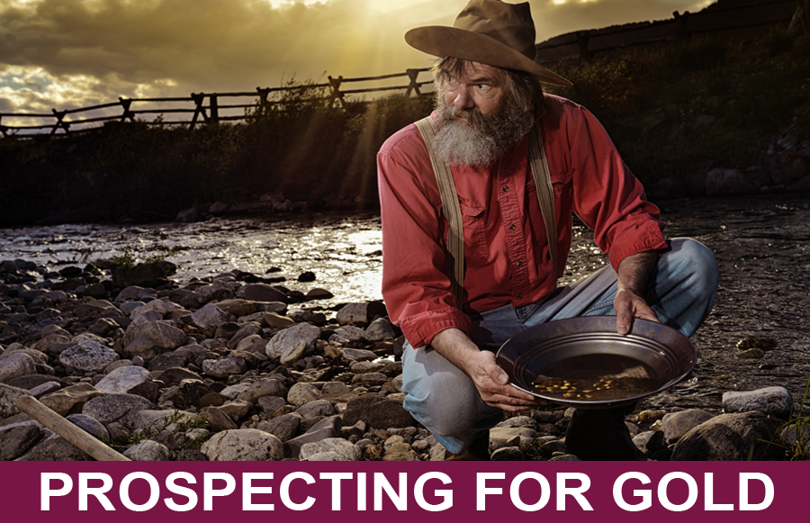 Prospecting For Gold