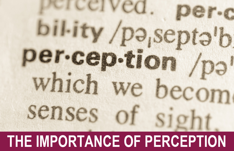 The Importance of Perception